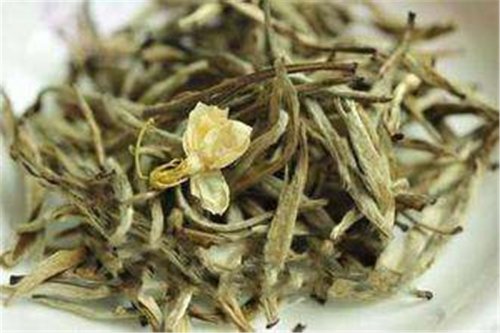 開卷有益｜茉莉花茶里沒有花，是真的嗎？